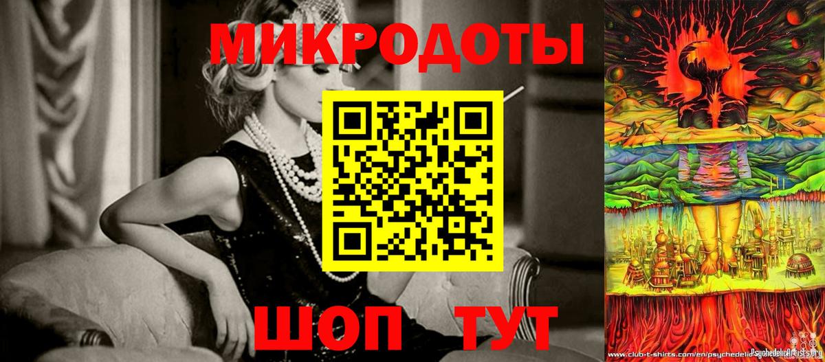 Галлюциногенные грибы Psilocybe Спасск-Дальний