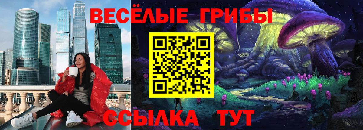 Спасск-Дальний  Псилоцибиновые грибы GOLDEN TEACHER  Псилоцибиновые грибы мухоморы  Вход с VPN 